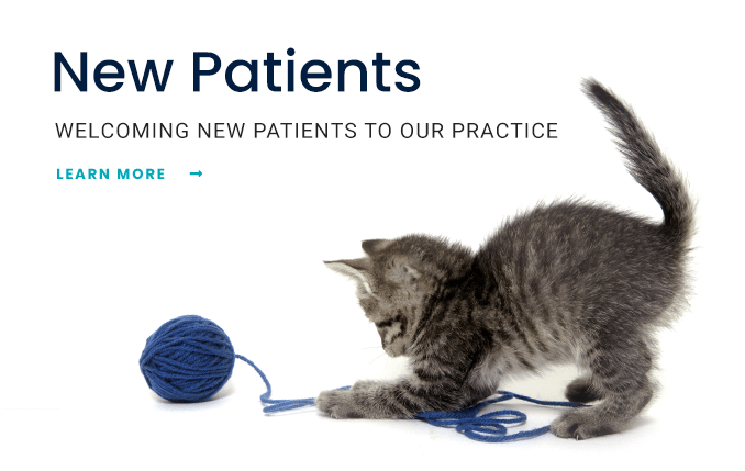 Learn How We're Welcoming New Patients