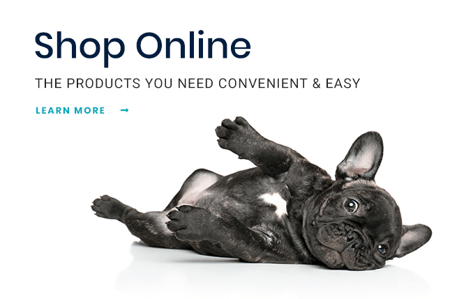 Shop for Pet Products Online